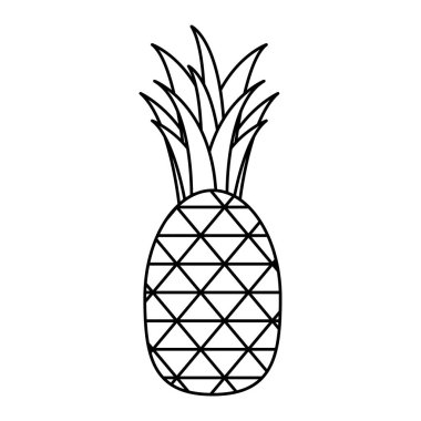 İzole ananas meyve vektör tasarımı