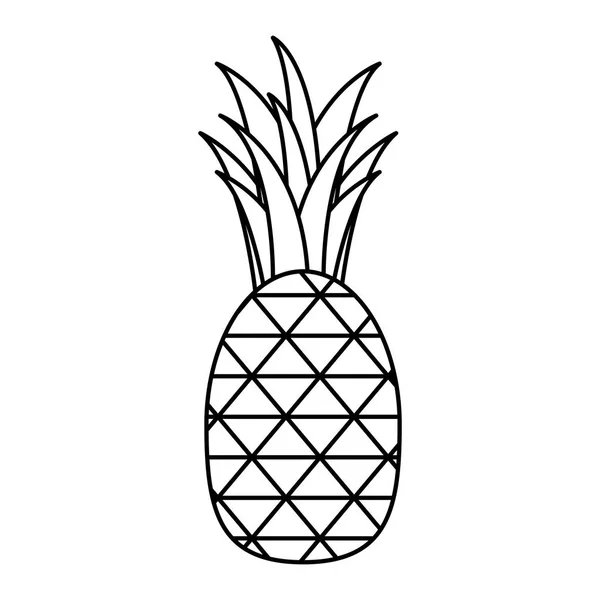 Isolated pineapple fruit vector design — Stock Vector