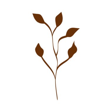 yapraklı mevsim sonbahar dalı