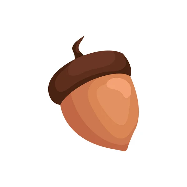 Season autumn nut isolated icon — Stock Vector