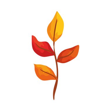 yapraklı mevsim sonbahar dalı