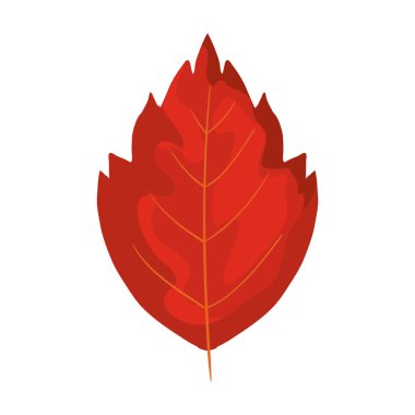 sezon sonbahar yaprak izole simgesi