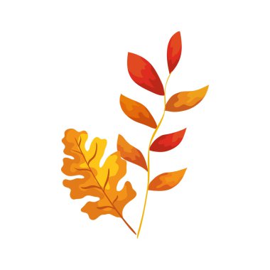 yapraklı mevsim sonbahar dalı