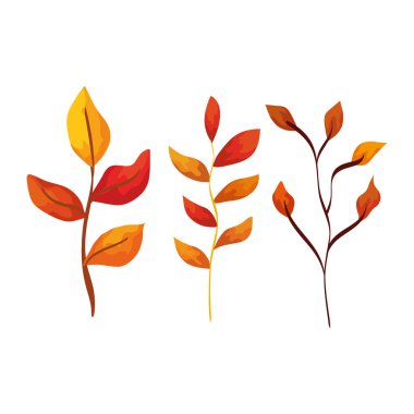 yapraklı mevsim sonbahar dalları