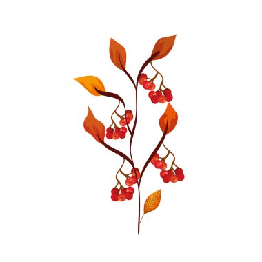 yaprak lar ve meyveler ile sezon sonbahar dalı