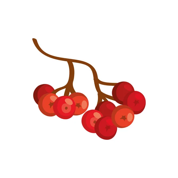 Εποχή του φθινοπώρου φρούτα απομονωμένο εικονίδιο — Διανυσματικό Αρχείο