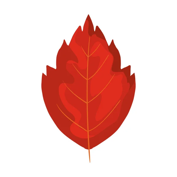 Seizoen herfst blad geïsoleerd icoon — Stockvector