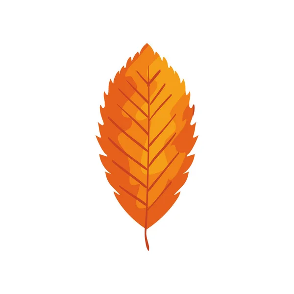 Saison automne feuille isolé icône — Image vectorielle