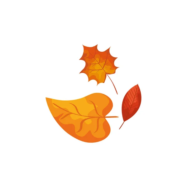 季節の秋の葉孤立したアイコン — ストックベクタ