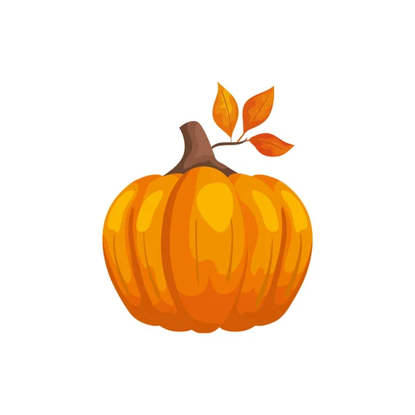 Calabaza con hojas de otoño icono aislado — Archivo Imágenes Vectoriales