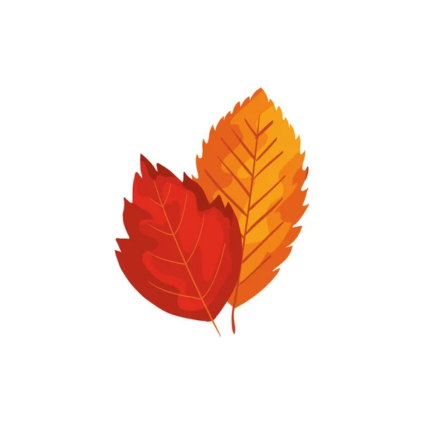 Saison Herbst Blätter isoliert Symbol — Stockvektor