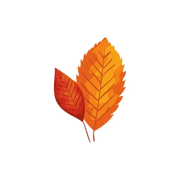 Saison automne feuilles isolé icône — Image vectorielle