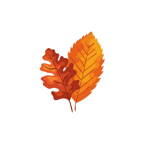 Ikona jesień liście na białym tle sezon — Wektor stockowy