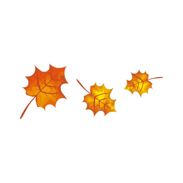 季节秋叶隔离图标 — 图库矢量图片