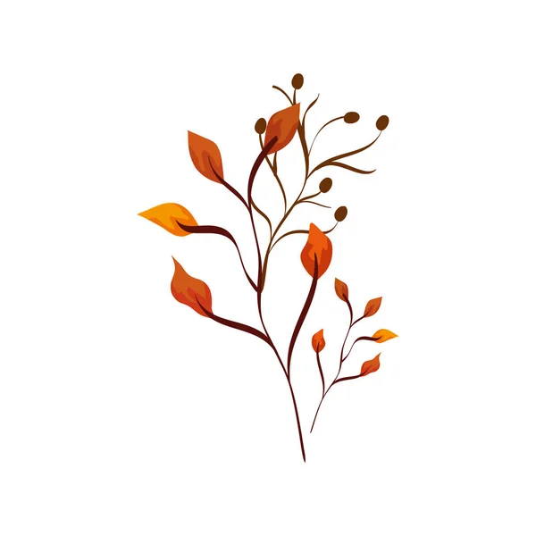 Season autumn branch with leafs — Stock Vector