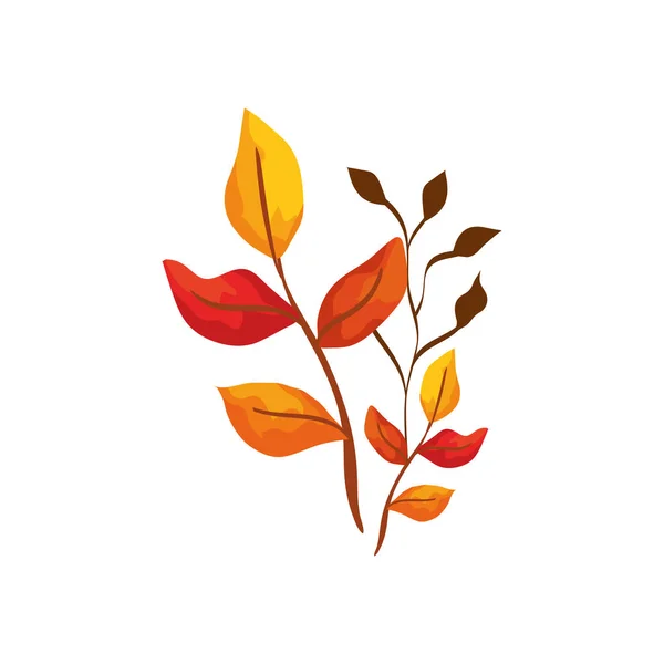 Σεζόν φθινοπωρινό κλαδί με φύλλα — Διανυσματικό Αρχείο