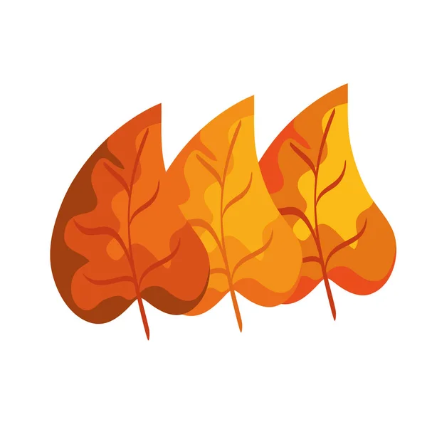 Season autumn leafs isolated icon — Stock Vector