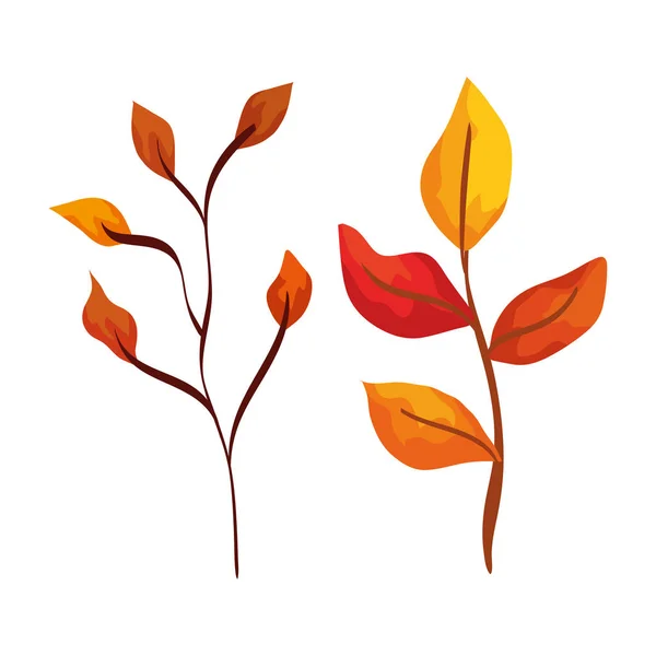 Yapraklı mevsim sonbahar dalları — Stok Vektör