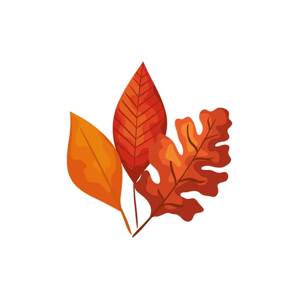 Sezóna podzimní listové samostatné ikony — Stockový vektor