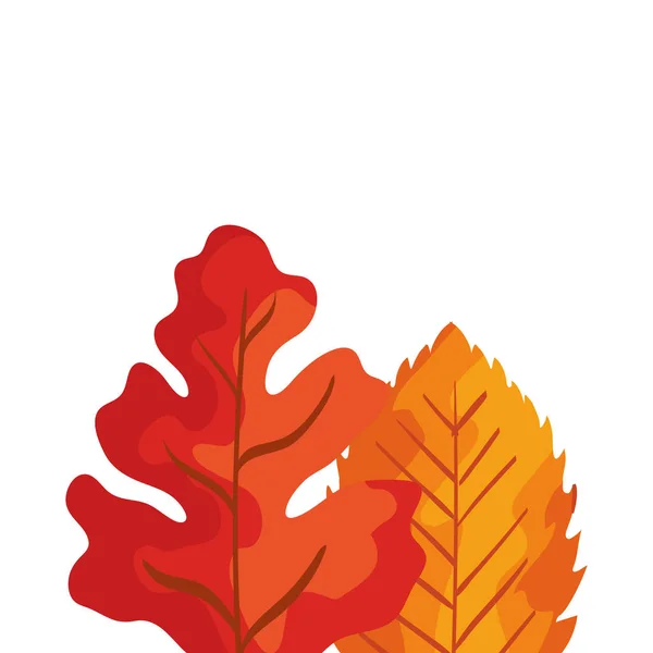 Ikona jesień liście na białym tle sezon — Wektor stockowy