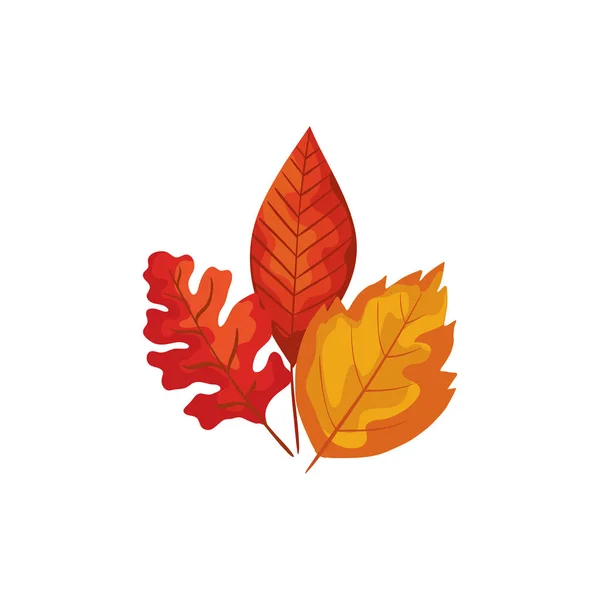 Εποχή του φθινοπώρου φύλλα απομονωμένο εικονίδιο — Διανυσματικό Αρχείο