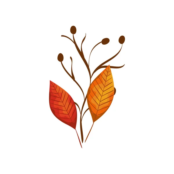 Saison automne branche avec feuilles — Image vectorielle