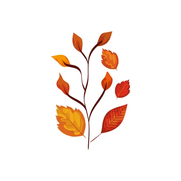 Saison automne branche avec feuilles — Image vectorielle