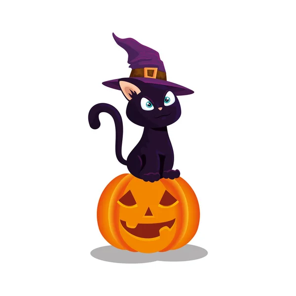Chat avec chapeau sorcière dans la citrouille halloween — Image vectorielle