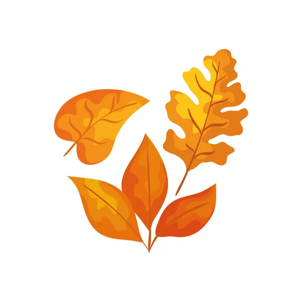季节秋叶隔离图标 — 图库矢量图片