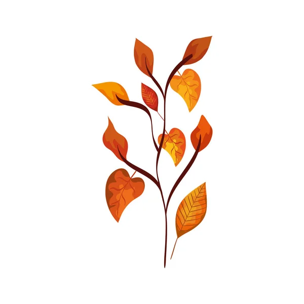 Temporada rama de otoño con hojas — Vector de stock