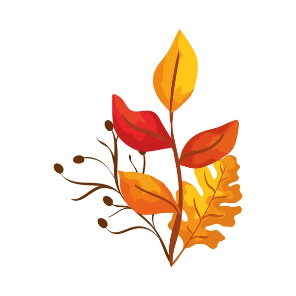 Season autumn branches with leafs — Stock Vector