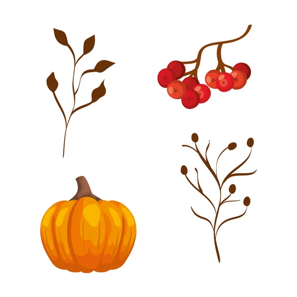 Season autumn pumpkin with branches and fruits — Stock Vector
