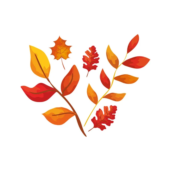 Season autumn branches with leafs — Stock Vector