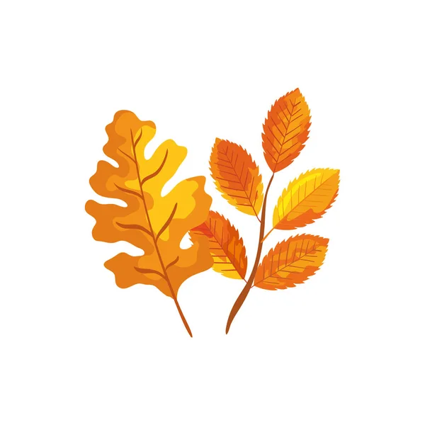Season autumn branch with leafs — Stock Vector