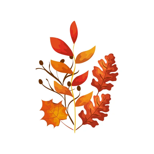 Temporada ramas de otoño con hojas — Vector de stock