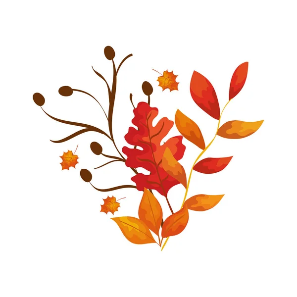 Сезон осінні гілки з листям — стоковий вектор