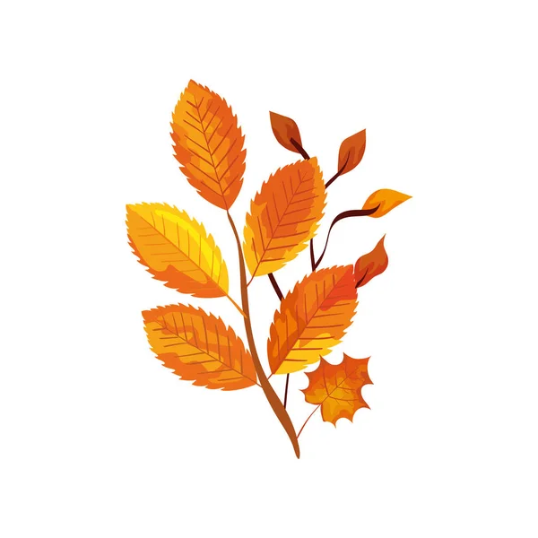 Stagione rami autunnali con foglie — Vettoriale Stock