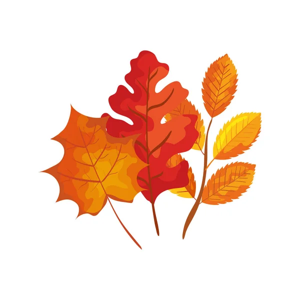 Temporada rama de otoño con hojas — Archivo Imágenes Vectoriales
