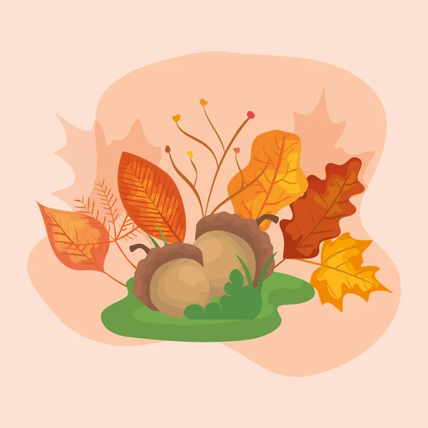 Noix avec feuilles d'automne — Image vectorielle