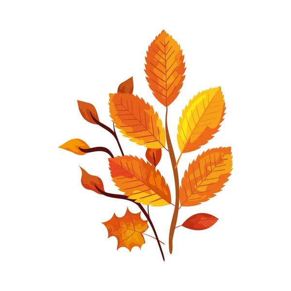 Temporada ramas de otoño con hojas — Vector de stock