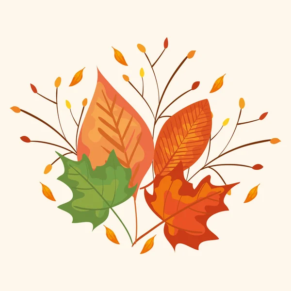 Takken met blaadjes van de herfst — Stockvector