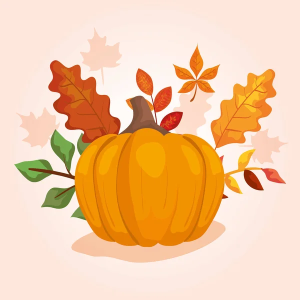Dýně s listové podzimní — Stockový vektor