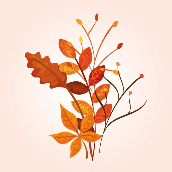 Sonbahar yaprakları ile dalları — Stok Vektör