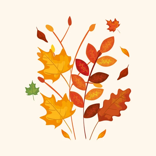 秋の葉っぱの枝 — ストックベクタ