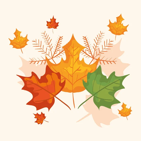 Κλαδιά με φύλλα του φθινοπώρου — Διανυσματικό Αρχείο