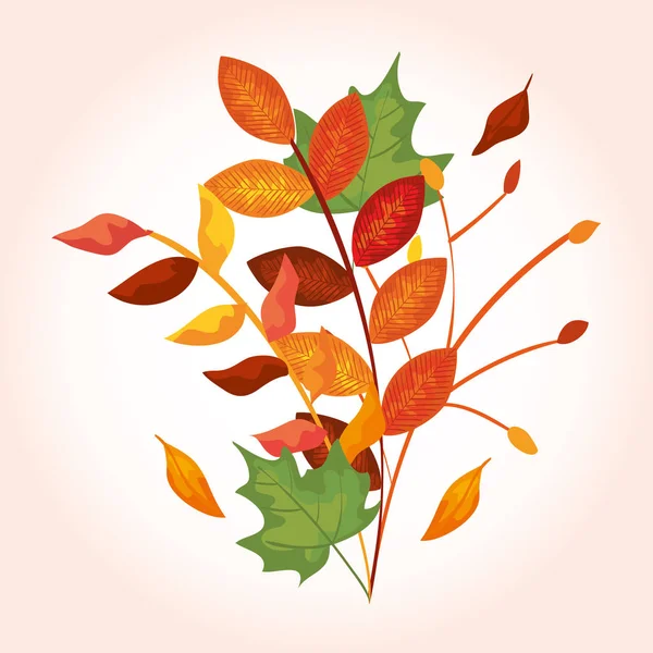 Ramas con hojas de otoño — Vector de stock