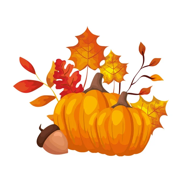 Seizoen herfst pumpkinn met moer en blaadjes — Stockvector