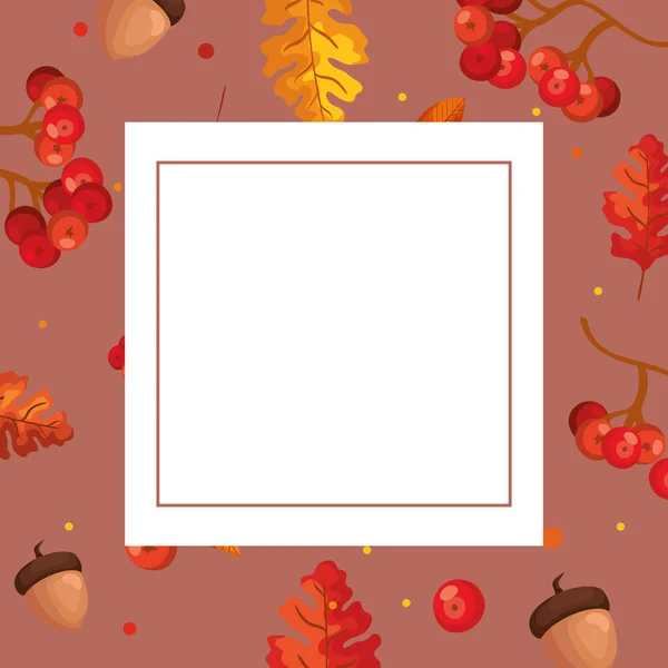 秋の葉とナッツとフレームの装飾 — ストックベクタ
