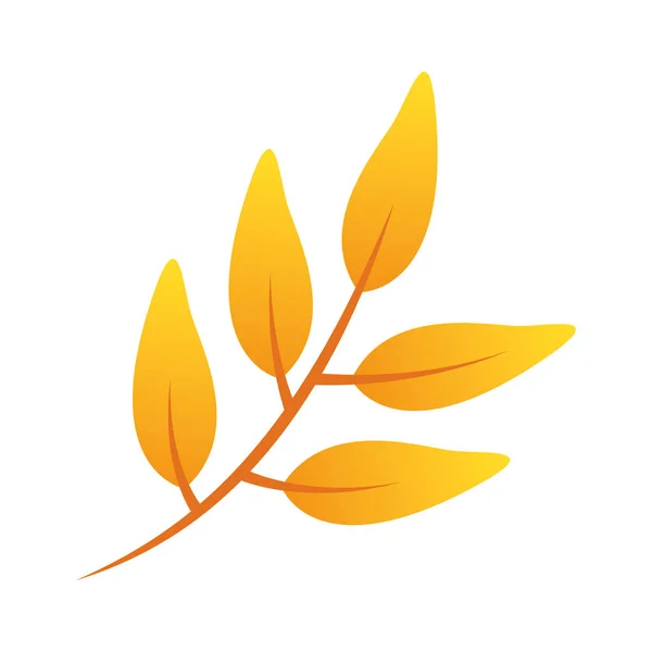 Φθινόπωρο κλαδί με φύλλα φύλλωμα εποχιακά — Διανυσματικό Αρχείο