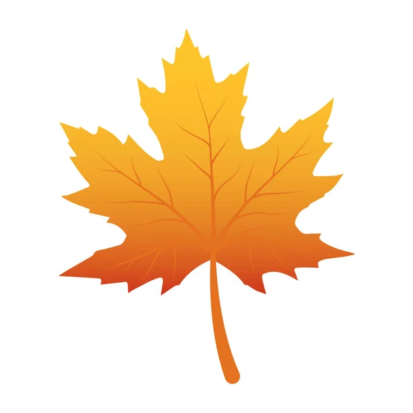 Hoja de otoño follaje icono estacional — Vector de stock